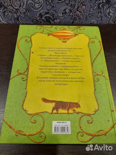 Книга Лабиринты эхо