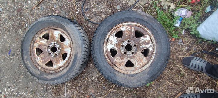 Nokian Tyres Hakkapeliitta 5 25/8 R15