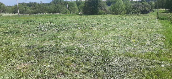 Участок 18,8 сот. (ИЖС)