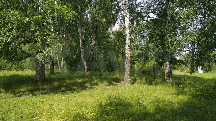 Участок 2,5 га (ИЖС)