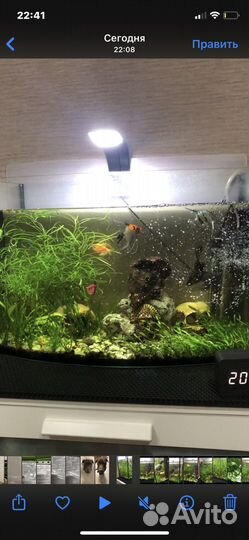 Аквариум с рыбками