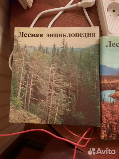 Лесная энциклопедия