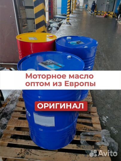 Моторное масло 2024 год любые марки