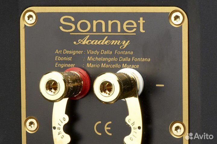 Chario academy sonnet в наличии