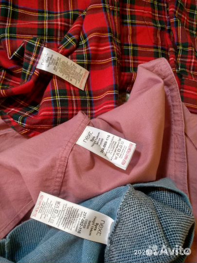 Next mayoral 8-9лет