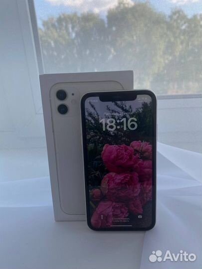 iPhone 11