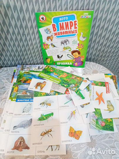 Лото в мире животных