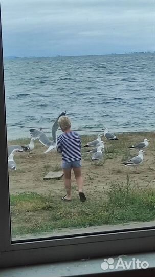 Курбулик. Гостевой дом