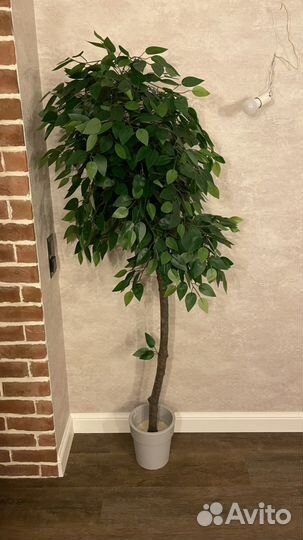 Искусственные цветы большие