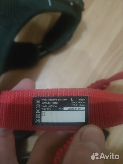 Шлейка с поводком для бега