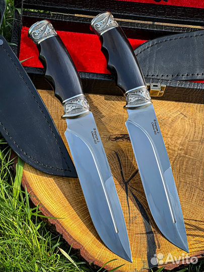 Беркут Кизляр