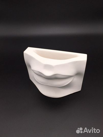 Губы кашпо/органайзер/карандашница