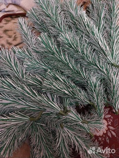 Сосна ёлка СССР для поделок (лом)
