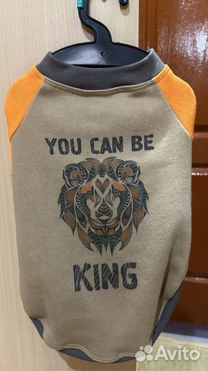 Свитшот для маленьких пород собак