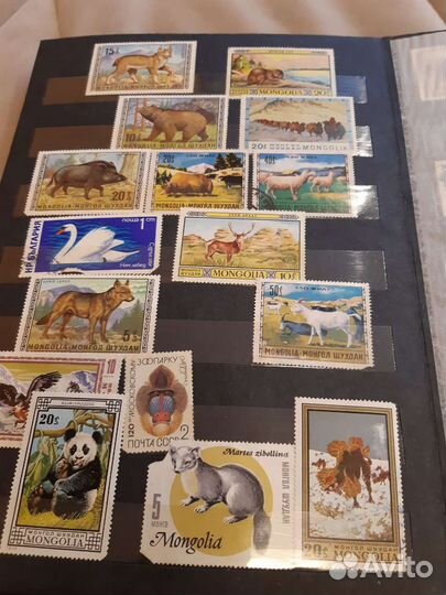 Альбом Монголия, Кампучия и др