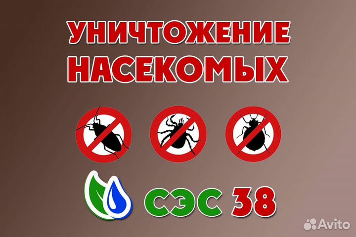 Уничтожение насекомых