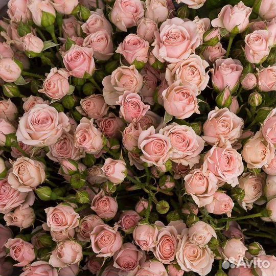 Цветы, букеты, розница