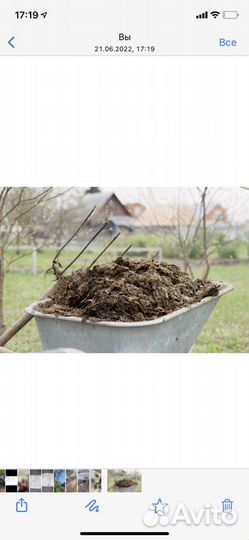 Навоз конский в мешках