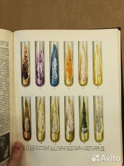 Большая медицинская энциклопедия бмэ