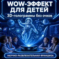 Готовый бизнес: Голографические представления, Троицкое
