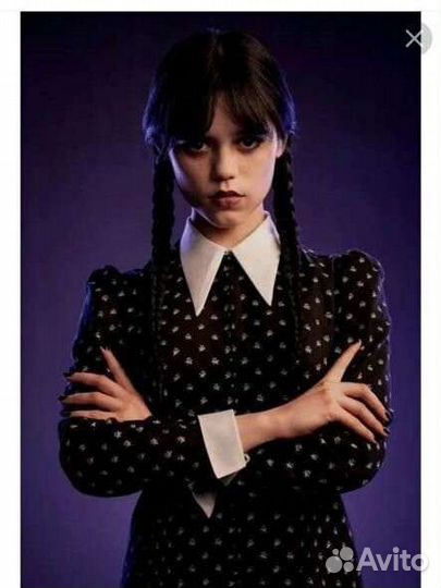 Аниматор барбиквест Уэнсдей Шоу