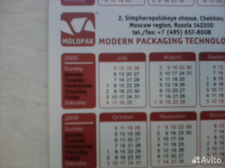 Календарь голографический за 2009 год