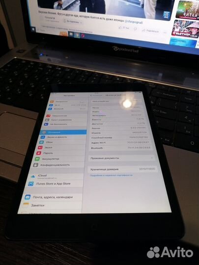 iPad mini