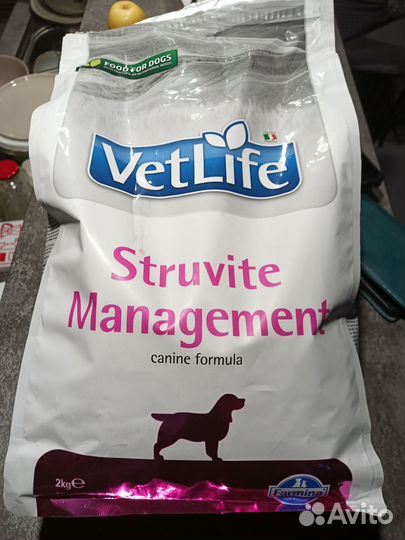 Корм для собак