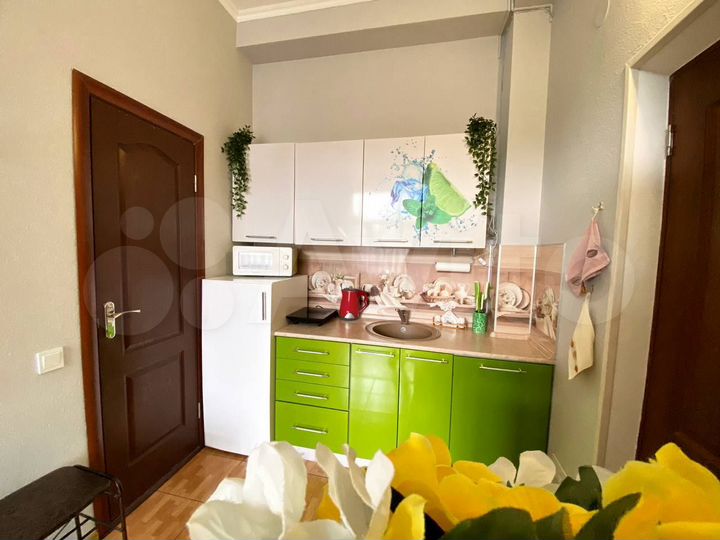 Квартира-студия, 28 м², 2/4 эт.