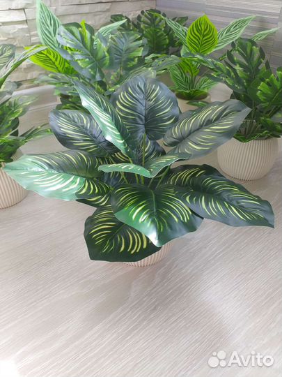 Искуственные растения