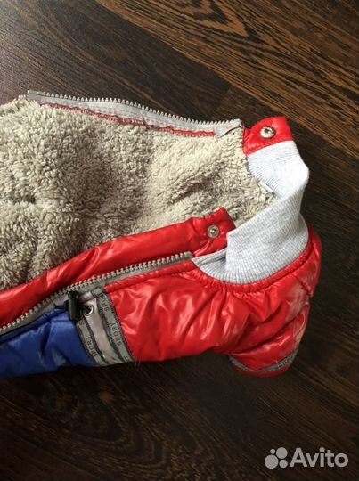 Одежда для собак