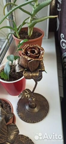 Железные цветы