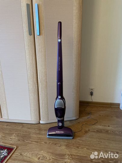 Пылесос Electrolux ergorapido zb2902