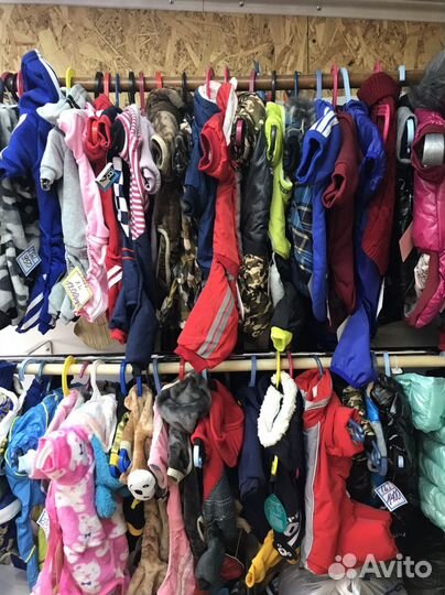 Одежда для собак