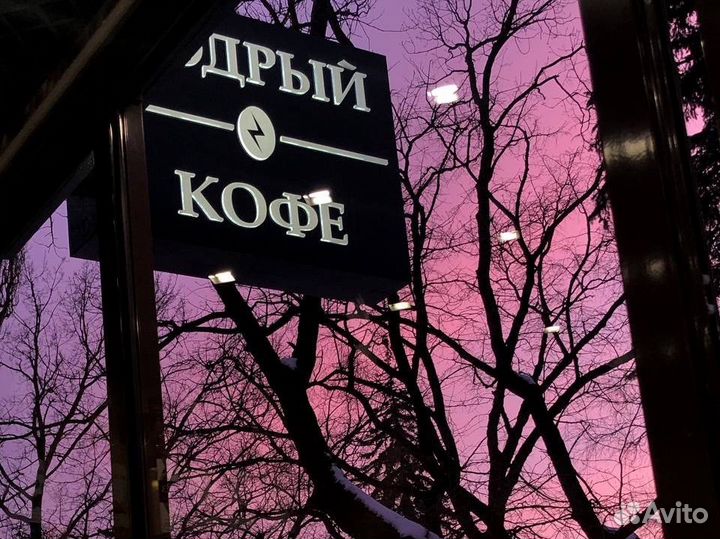 Бариста