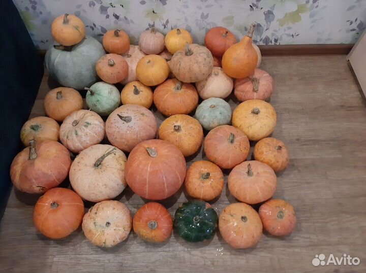 Сушеный лесной шиповник, тыквы