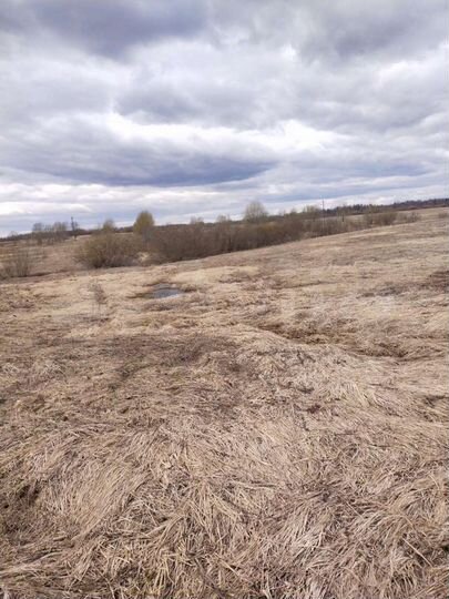 Участок 15 сот. (ИЖС)