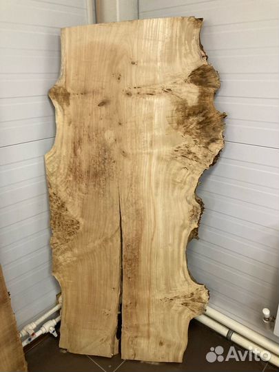 Слэб карагач тополь орех