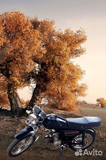 Мопед Альфа 110