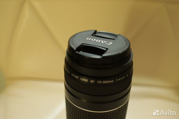 Canon EF 70-300 mm F/ 1:4-5,6 L IS USM