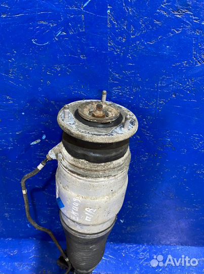 Пневмостойка передняя правая Hyundai Equus VI G6DJ