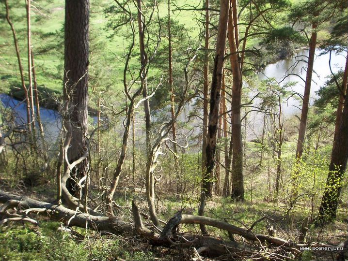 Участок 1,05 га (СНТ, ДНП)