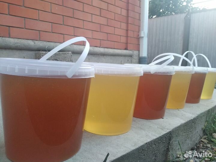 Мёд липовый,майский,разнотравье,подсолнечн