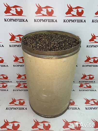 Суданка семена