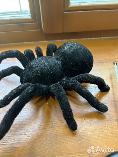 Паук на пульте