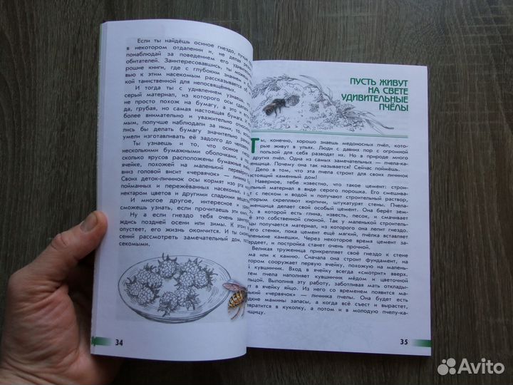 Плешаков Великан на поляне 2023 г