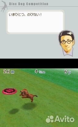 Nintendogs Dachshund and Friends, б/у, английский