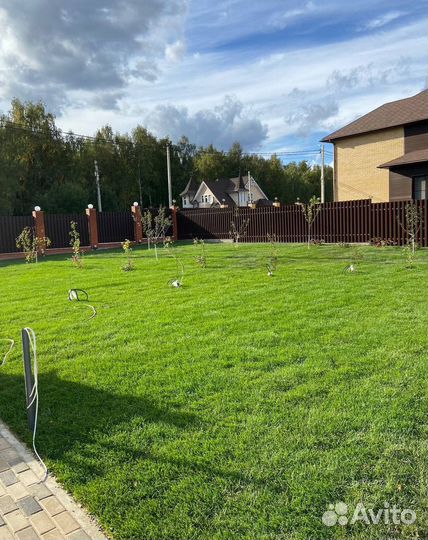 Рулонный газон с доставкой