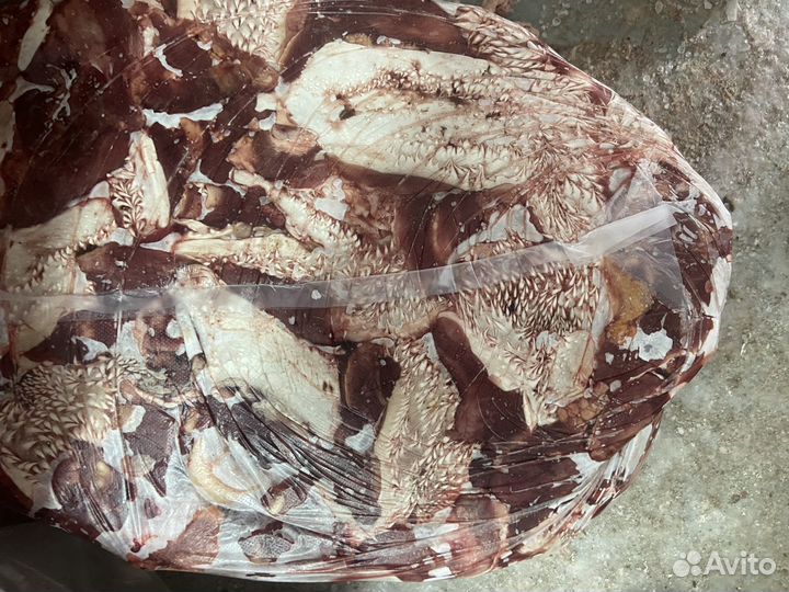 Обрезь мясная говяжья