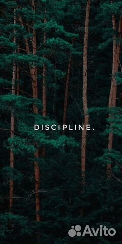 SEO продвижение сайта с гарантией